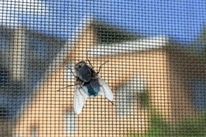 Can You Get Fly Screens In French Doors?