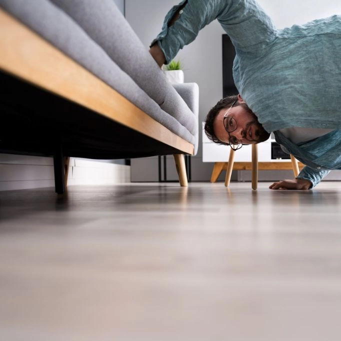 picture of a man looking at a sofa