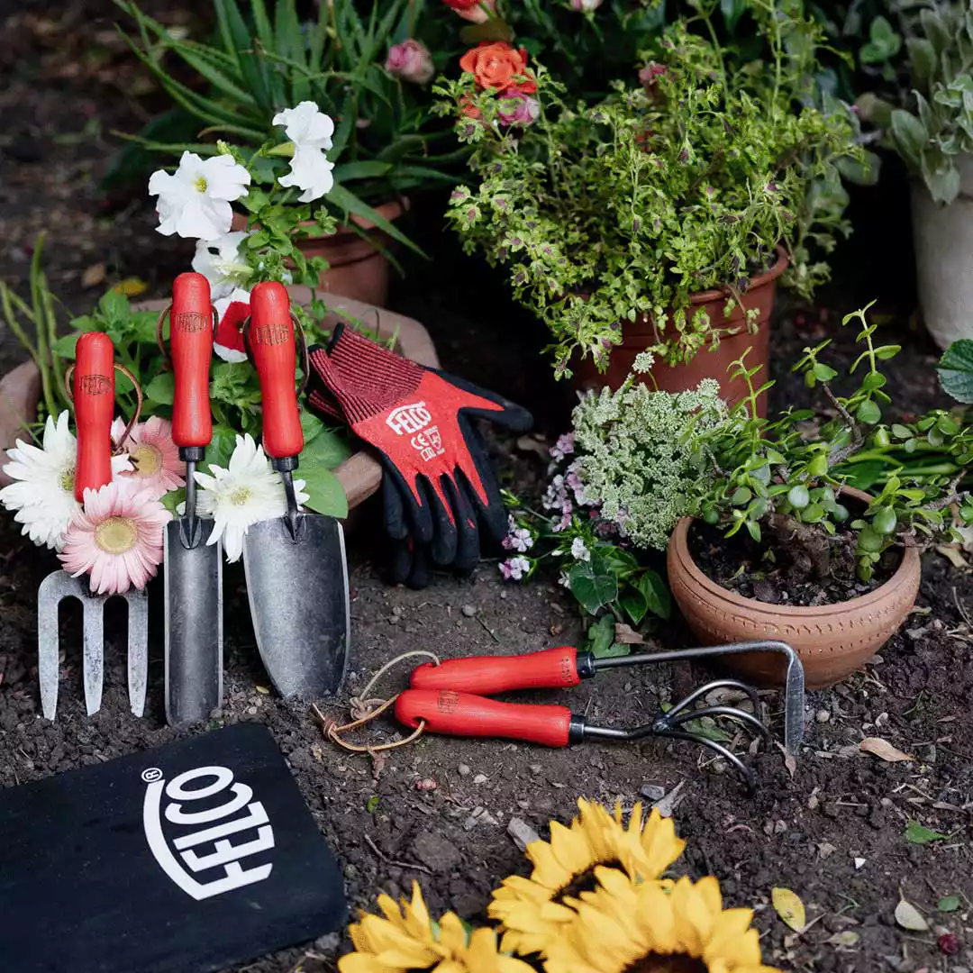 a set of Felco Gardening Tools