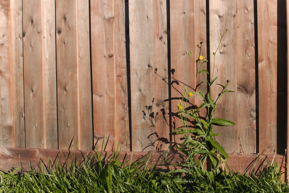 Fence Panel 